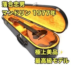 Item thumbnail for item 156b6a5e-b8c6-42c0-9cc2-630f6d2de5e8
