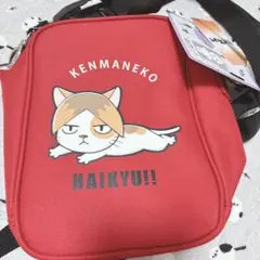 ハイキュー クリアバック