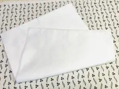 Item thumbnail for item 81cb9512-884c-45b1-b8bd-32447c64cc08