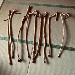 Item thumbnail for item 9a6318b4-0047-48d6-bee0-0f50071a9eab