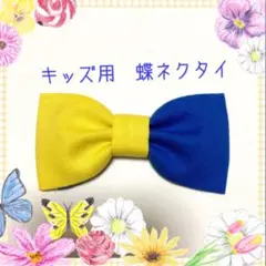 Item thumbnail for item 25f164d9-bd4b-44dd-b0c9-4b76657239c4