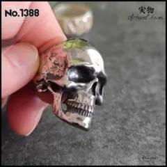 Item thumbnail for item e066080d-b4fa-47a9-aa46-e70ce62694fe