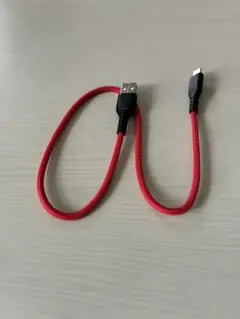 レッド USB-A to USB-C ケーブル 約50cm
