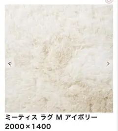 Item thumbnail for item 61e8b4fa-b02d-435d-8b70-7fd2724d1ebf