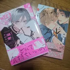 *9/30までお値下げ*商業BL2冊セット