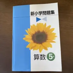 新小学問題集　算数　5年生　塾専用