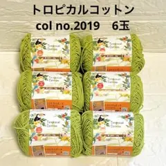 セリア＊トロピカルコットン 2019番 もえぎ 6玉セット