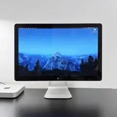 美品 Apple LED Cinema Display 24インチ A1267