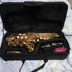 【美品・ケース付】　SLADE ソプラノサックス　マウスピース 31UyjU44sVL.jpg_BO30,255,255,