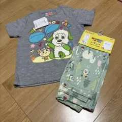 いないいないばぁっ！わんわん　tシャツとズボンのセット