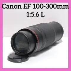 2025年最新】EF 100-300 F5.6Lの人気アイテム - メルカリ
