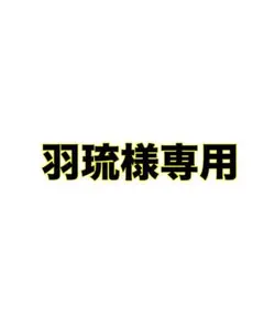 羽琉様確認用