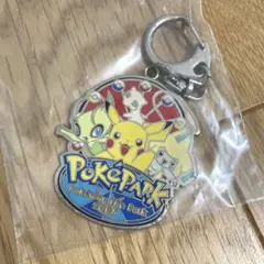 希少　ポケパーク　キーホルダー　ピカチュウ　セレビィ　ジラーチ　ミュウ 希少 ポケパーク キーホルダー ピカチュウ セレビィ ジラーチ