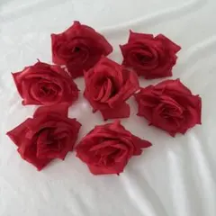 Item thumbnail for item 55531fa8-bd33-4e3f-bd3b-78cd828595af