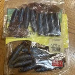 ファットイカ