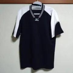 Item thumbnail for item d03a540b-3c9f-4410-a369-accc6c4ce528