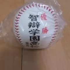 智辯学園高等学校 記念ボール 第88回選抜高校野球大会