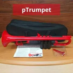 Item thumbnail for item 0fc73147-0329-4605-bd99-14f996f1e0da