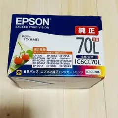 EPSON IC6CL70L