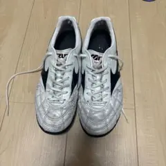 モレリアトレシュー