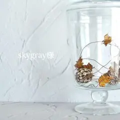 skygray様