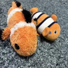 カクレクマノミ2