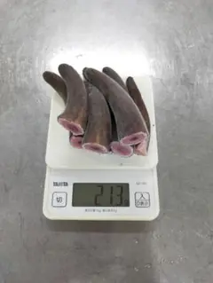 鹿茸　袋角 2025年最新】鹿茸 袋角の人気アイテム - メルカリ
