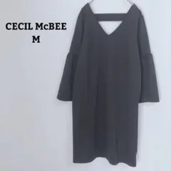 Item thumbnail for item a54b375d-ff01-4818-8089-c47aa0d51933