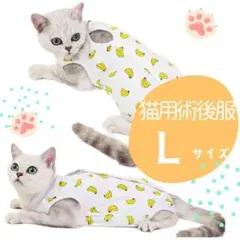 Item thumbnail for item 616097b6-d54d-4805-a8e2-e08903bbeb85