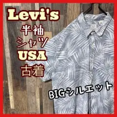 Item thumbnail for item 47af001c-ab25-4a54-afc2-3080f1652ce1