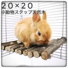 Item thumbnail for item 6e45622c-5ca2-48f5-9ebe-1397e1d5ed42