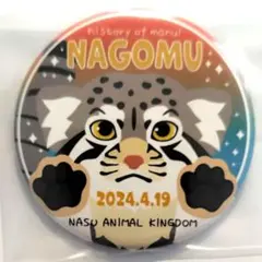 那須どうぶつ王国　マヌルネコ　缶バッジ　ナゴム