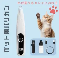 Item thumbnail for item b2015e1e-21bc-4e7a-880e-d9f882751679