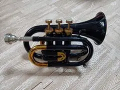 未使用ポケットトランペットJUPITER(ジュピター)PT516L 2025年最新】jupiter ポケットトランペットの人気アイテム