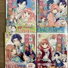 婚約破棄の次は偽装婚約。さて、その次は……。 1〜4