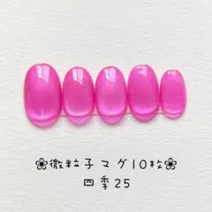 【即購入ok】マグネットネイルチップ　ショートオーバル　ニュアンス　四季25