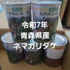 2025年最新】根曲がり竹 缶詰の人気アイテム - メルカリ
