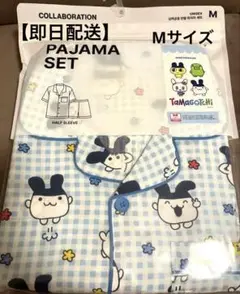 Item thumbnail for item af5d6a5c-2480-43a8-a2db-77113ba3f7c3