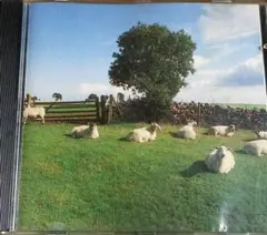THE KLF Chill Out 輸入盤CD