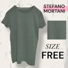 【送料無料】 ステファノモルタリ Tシャツ シンプル グリーン おしゃれ F
