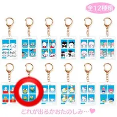 【在庫ラス1】シークレット証明写真風キーホルダー2 けろけろけろっぴ