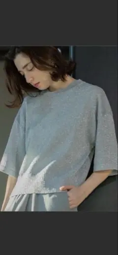 タグ付き　ラメハーフスリーブトップス
