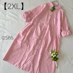 Wang Yige ピンク ロングシャツワンピース 大きいサイズ【2XL】