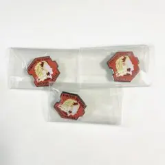 鬼滅の刃 無限城編 ピンズ ピンバッチ 煉獄槇寿郎