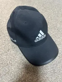 Item thumbnail for item 1d930c70-42f2-4b3d-aa70-5705fd31e241