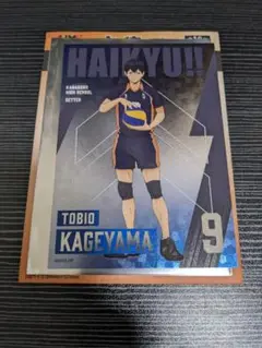ハイキュー!! 烏野 影山飛雄 デコラートコレクション第2弾 JUMP SHOP