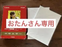 【開封済み】写真用紙　光沢ゴールド A4 89枚GL-101A4100