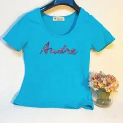 アンドレルチアーノ ANDRELUCIANO Tシャツ サイズ 1 刺繍
