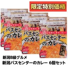 【箱なし!特別価格】新潟B級グルメ 新潟バスセンターのカレー 6個セット