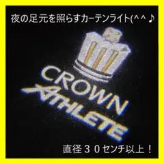 クラウンアスリート白黄 カーテシライト カーテシランプ LED 2個セット